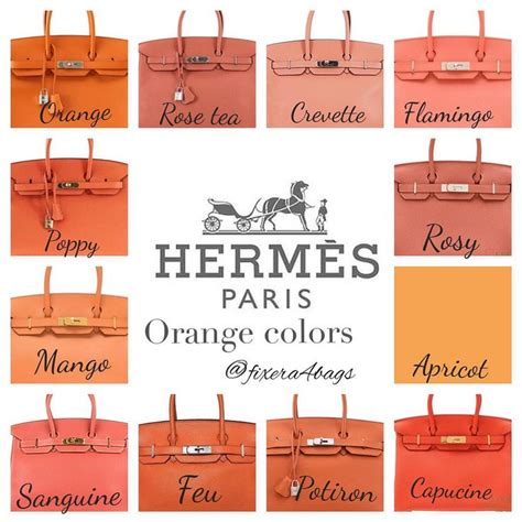 hermes birkin bag colors 2011|hermes bag color chart.